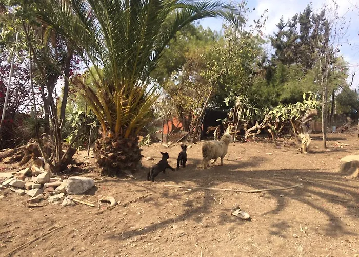 Kibbutz La